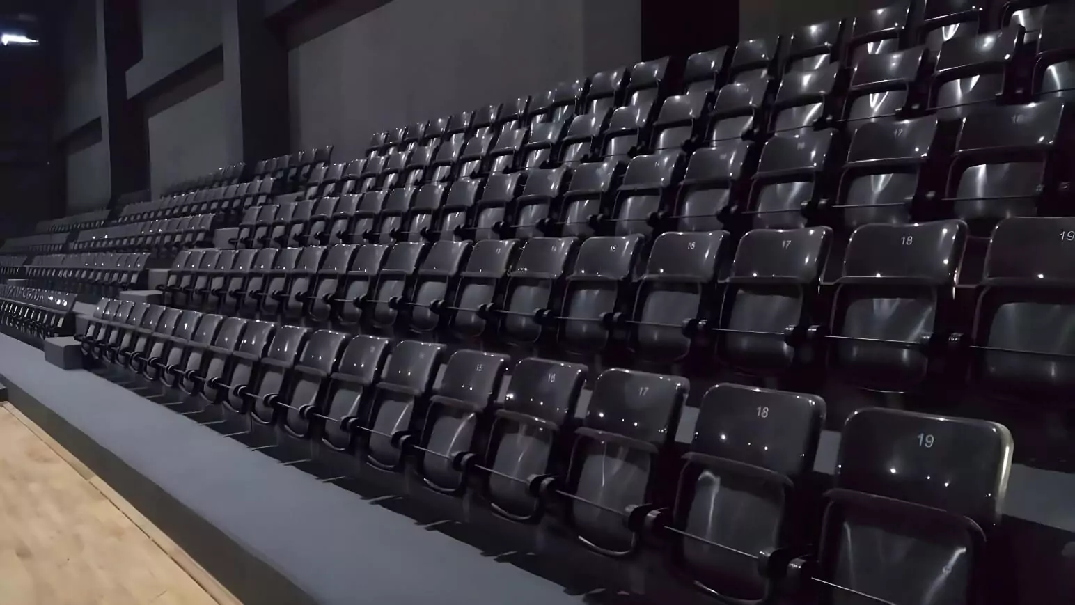 Club-Branded Chairs for Arena Image